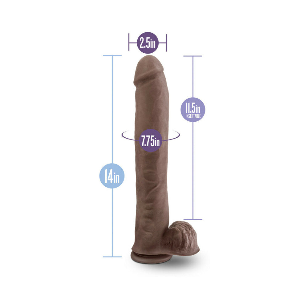 Blush Au Naturel Daddy 14 in. Posable Dual Density Dildo with Balls & Suction Cup Brown