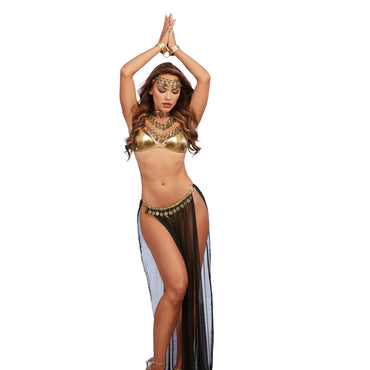 Dreamgirl Three-Piece Gold Lame Halter Bra, Matching Thong and Matching Neck Collar with Chain Leash Costume OS