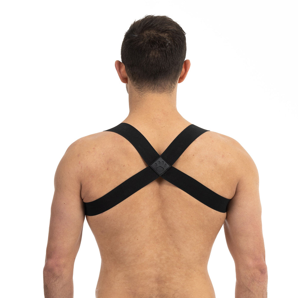 Prowler Red Sports Harness Black