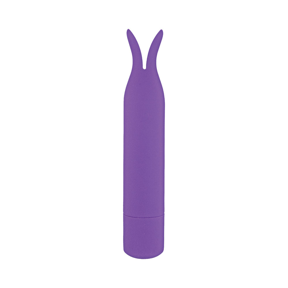 Mini's Tickler Bullet