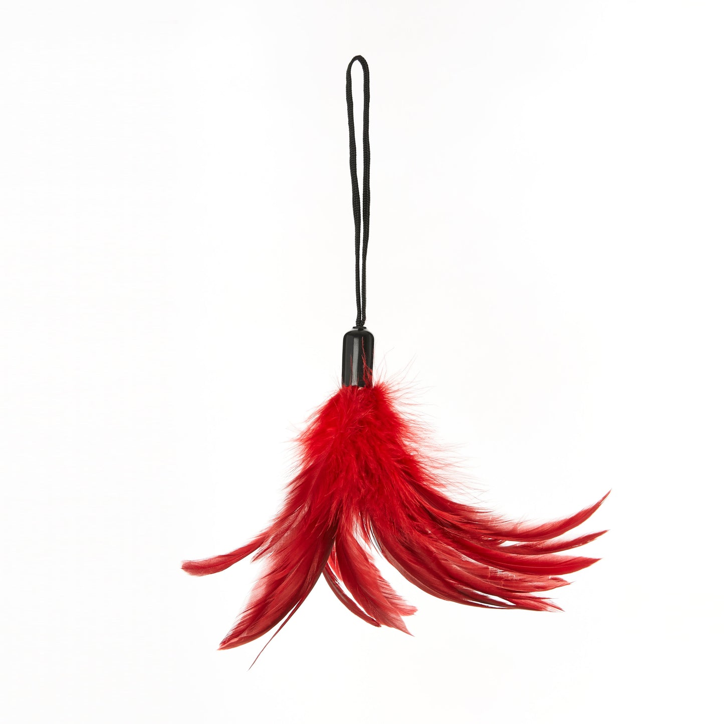 Ss Pleasure Feather Tickler for Intimate Wellness Exploration