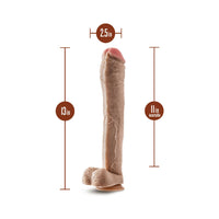 Blush Hung Rider Lil John Realistic 13 in. Dildo with Balls & Suction Cup Beige