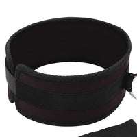 Lux Fetish Collar and Leash Set