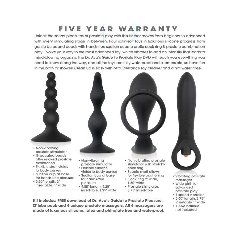 Intro To Prostate 4-Piece Anal Set