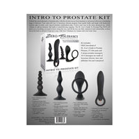 Intro To Prostate 4-Piece Anal Set