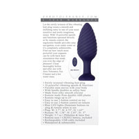 Zero Tolerance Wicked Twister Rechargeable Remote-Controlled Textured Vibrating Silicone Anal Plug Purple