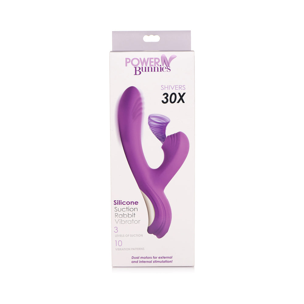 Curve Toys Power Bunny Shivers Rechargeable Silicone Suction Dual Stimulation Vibrator Purple