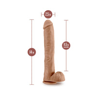 Blush Au Naturel Daddy 14 in. Posable Dual Density Dildo with Balls & Suction Cup Tan