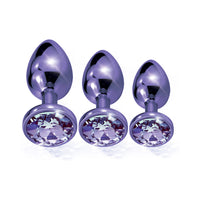 Nixie Metal Butt Plug†Trainer†Set 3-Piece Purple Metallic
