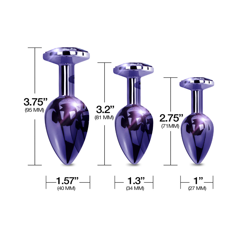 Nixie Metal Butt Plug†Trainer†Set 3-Piece Purple Metallic