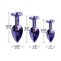 Nixie Metal Butt Plug†Trainer†Set 3-Piece Purple Metallic