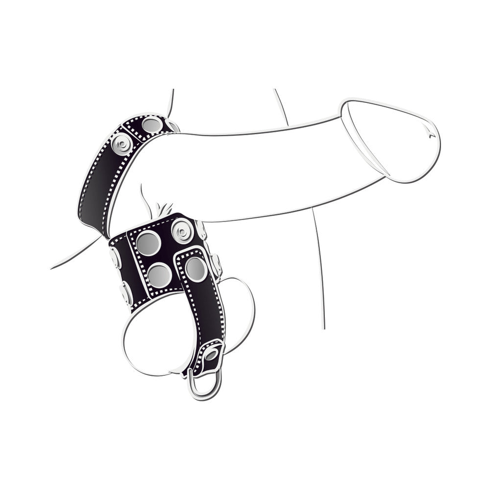 Ballgear Ball Stretcher With Separator & D-Ring - Black