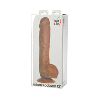 Adam & Eve Adam's Colossal 12 in. Dildo Brown