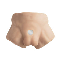 SILEX-D Apollo S Torso - 7 Inch Model 2