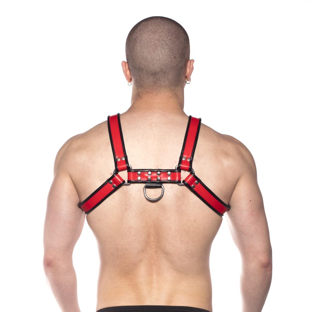 Prowler RED Bull Harness - Black/Red XL