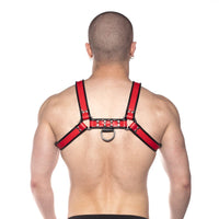 Prowler RED Bull Harness - Black/Red XL
