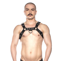 Prowler RED Bull Harness - Black 2XL