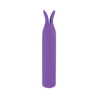 Mini's Tickler Bullet