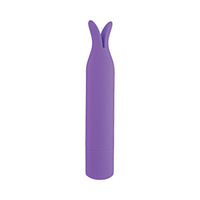 Mini's Tickler Bullet