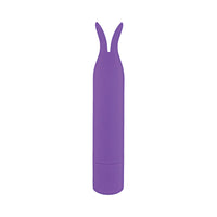 Mini's Tickler Bullet