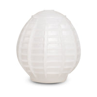 Camtoyz Goggy Masturbator Egg Box 6pk for Unique Sensation