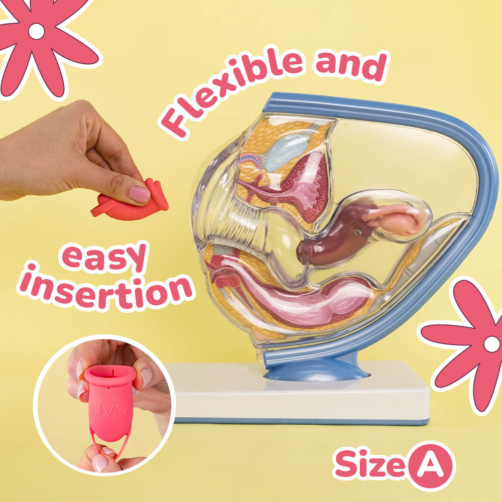 UVA Menstrual Cup Set for Comfortable Period Care