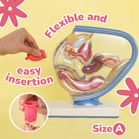 UVA Menstrual Cup Set for Comfortable Period Care
