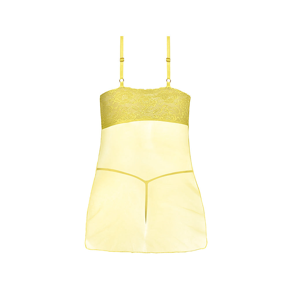 MS Daffodil Dreams Babydoll & G Yellow Q