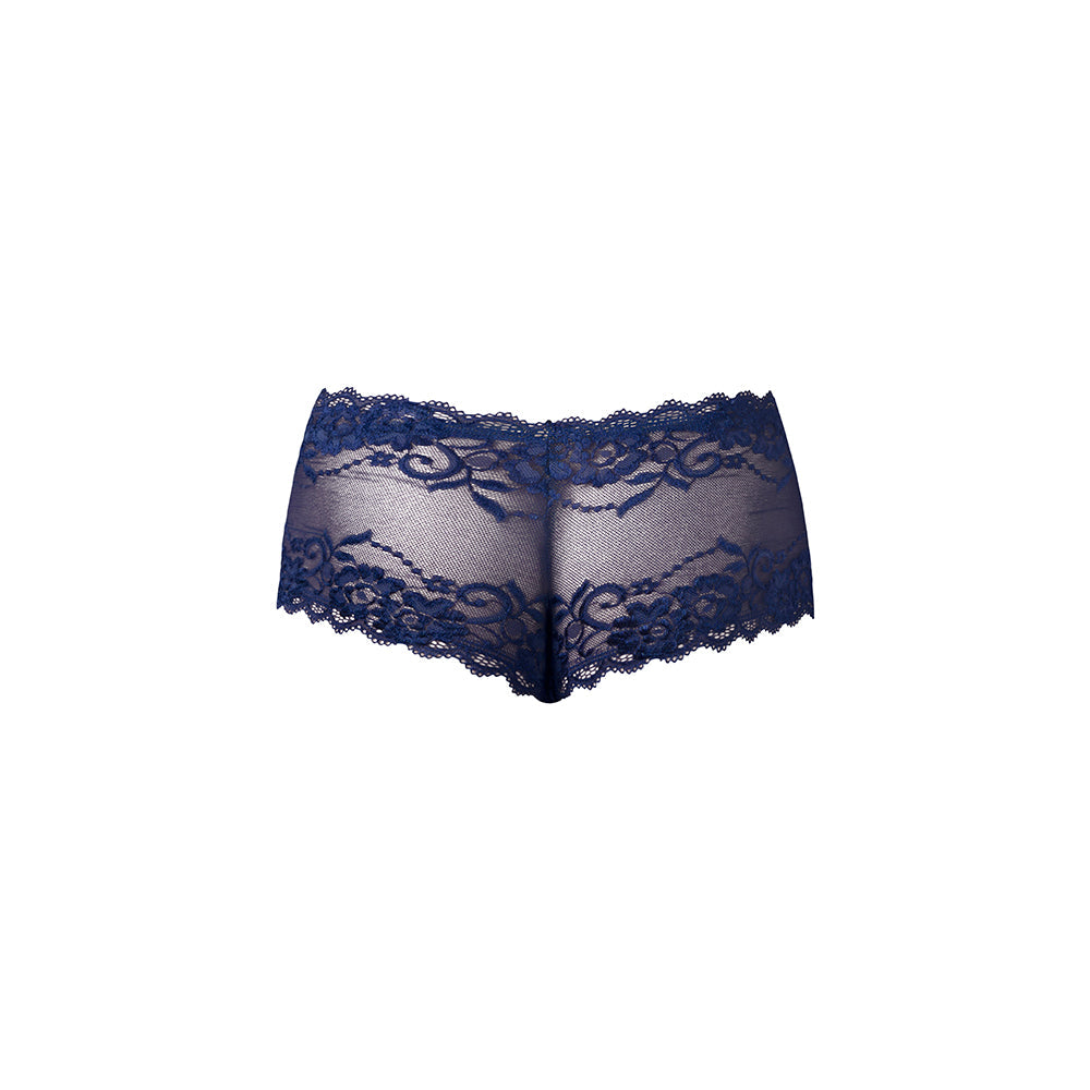 Male Power Sassy Lace Mini Short Sheer Pouch Navy