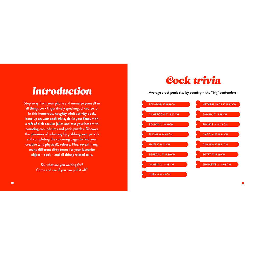 The Little Book of Cock: A Hilarious Activity Book for Adults