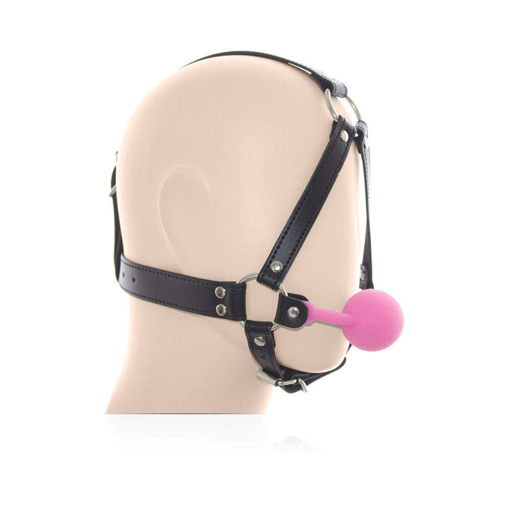 Ple'sur Face Harness Ball Gag in Pink