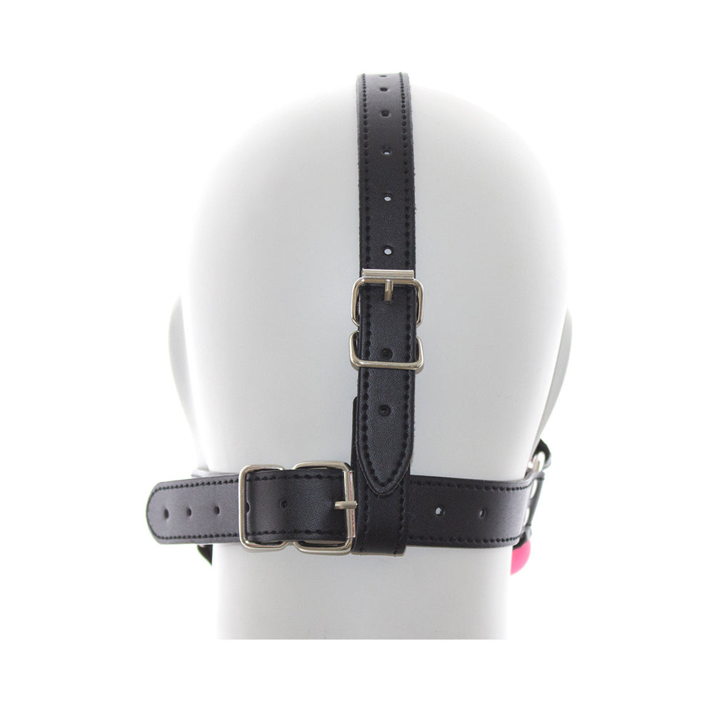 Ple'sur Face Harness Ball Gag in Pink