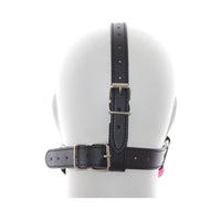 Ple'sur Face Harness Ball Gag in Pink