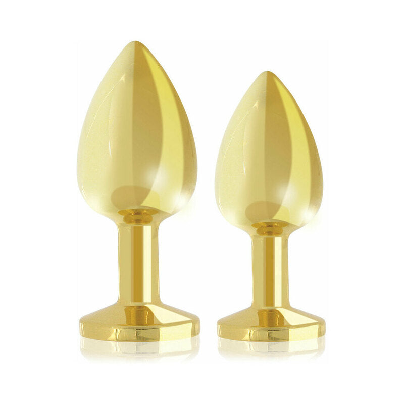 Rianne S 2-Piece Booty Plug Luxury Set Gold