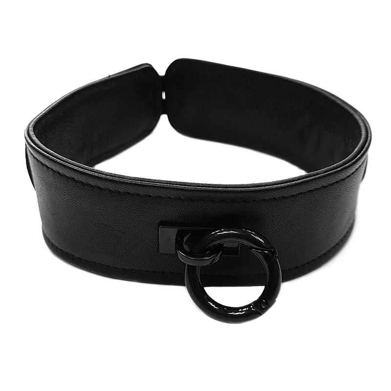 Rouge Leather Collar Black with Black Accessories